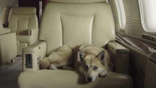 Luiz Roque – Zero, 2019 (Teaser)