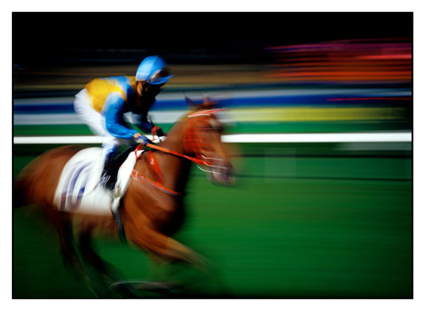 William Furniss, Horse No. 10, Happy Valley, 2005