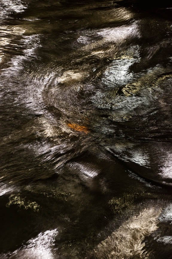 William Furniss, Poseidon II, 2010