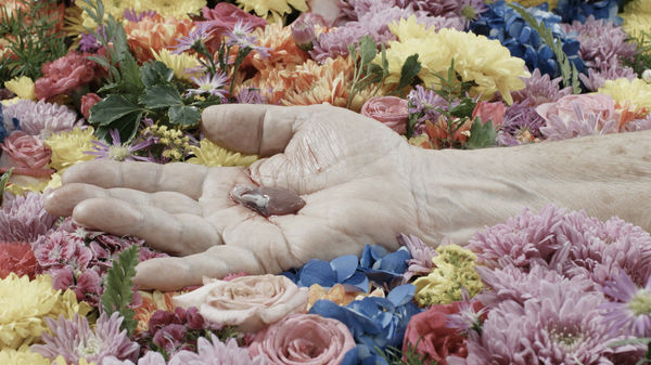 Dinh Q. Lê, Glitter’s Paradise, 2015