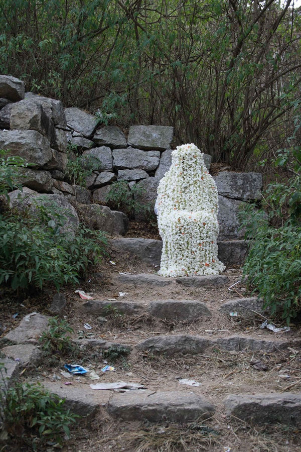 Surekha, Not To Be Seen 2, 2008