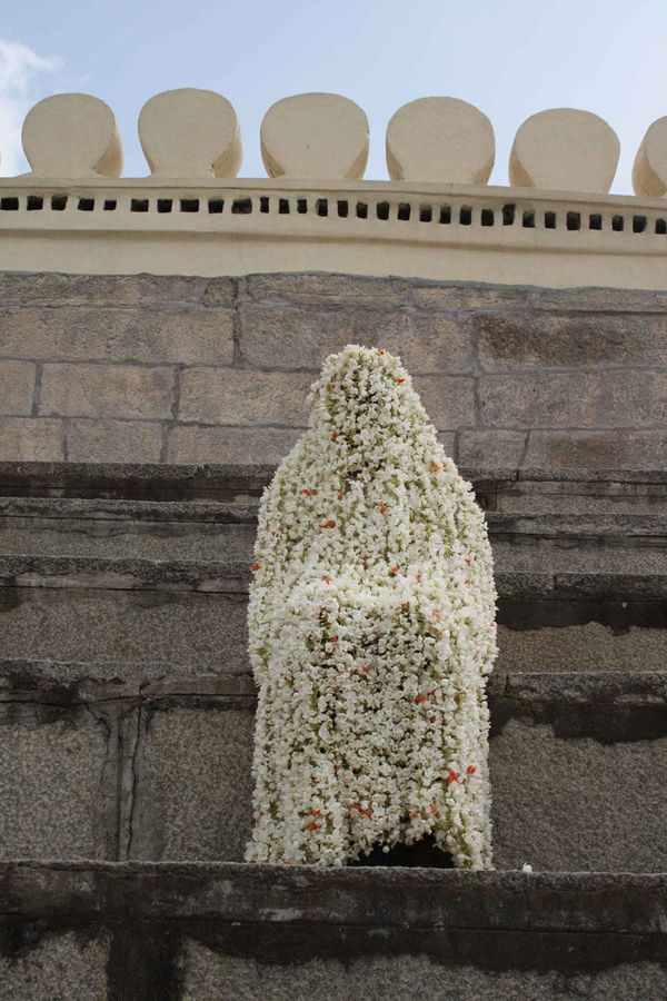 Surekha, Not To Be Seen 1, 2008