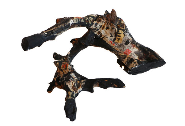 Frog King, Nature, 2014