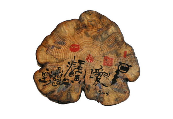 Frog King, Love, Life, 2014