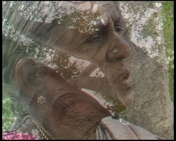 Surekha, Tree Woman, 2005