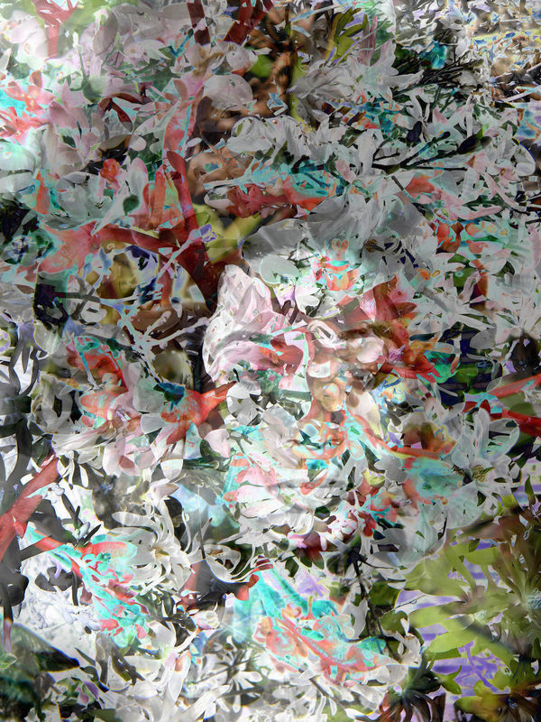 Sonia Mehra Chawla, Hyperbloom Transitions II, 2012