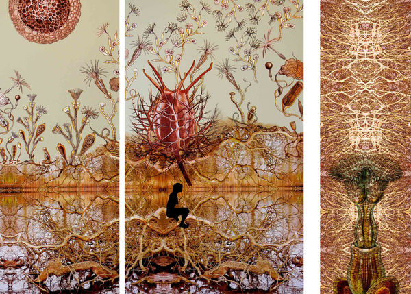 Sonia Mehra Chawla, Embryonic Plant : Hyperbloom, 2013