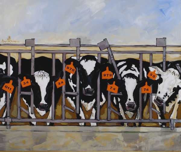 Marqués de Jadraque, Vacas, 2001