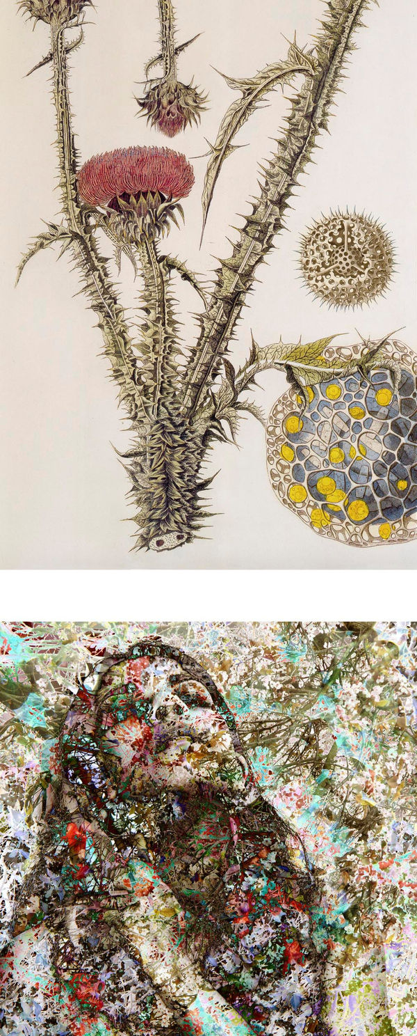 Sonia Mehra Chawla, History-Memory-Transfiguration: Signs of Skin 3, 2012