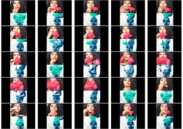 Surekha, Three Fragmented Actions of Silence - Making A Flower, 2006/07