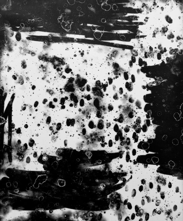 Daniel Hojnacki, Evaporation of the Body II, 2021