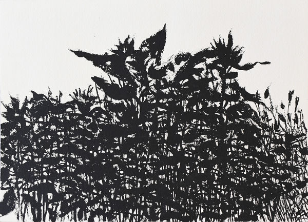 Wesley Rusnell, Untitled (Black and White)