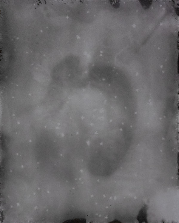 Daniel Hojnacki, Untitled 1