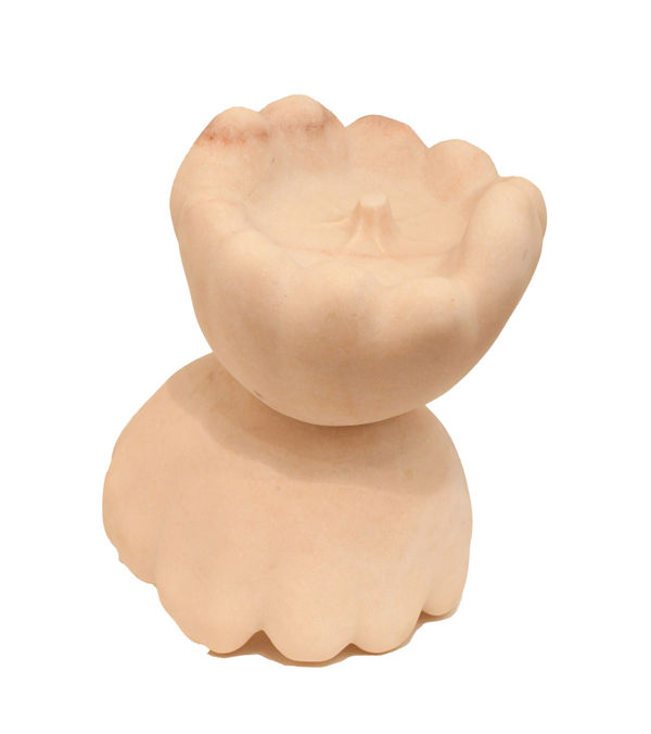 TJ Mabrey, Patti Pan, n.g.