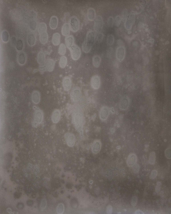 Daniel Hojnacki, Moon Body, 2021