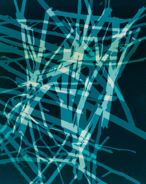 Daniel Hojnacki, Fallen Sticks (nyc) 1, 2023