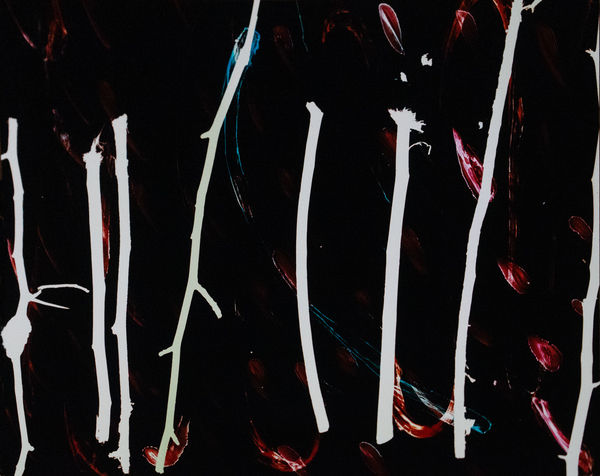 Daniel Hojnacki, Untitled