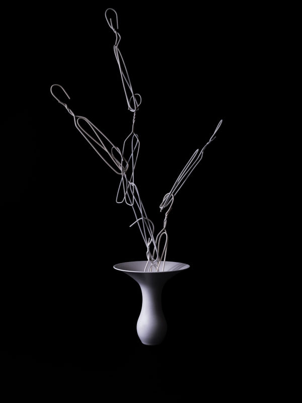 anothermountainman 又一山人, i see ikebana. they are ikebana. 17《我看花。便是花。17》, 2024