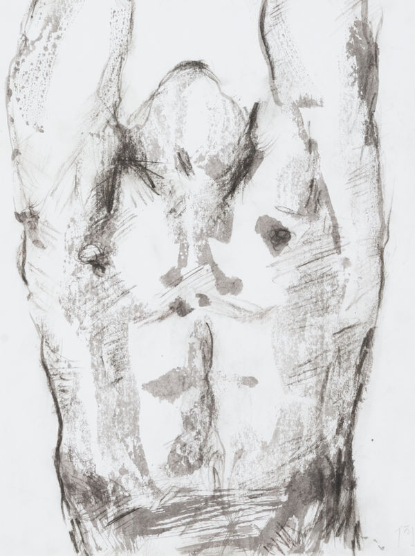 Chloe Ho 何鳳蓮, Rising《上升》, 2013