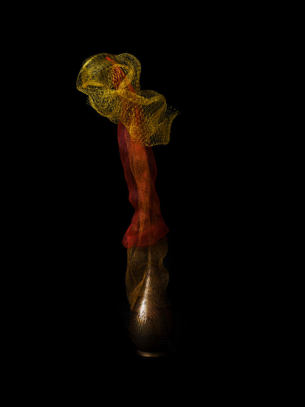 anothermountainman 又一山人, i see ikebana. they are ikebana. 12《我看花。便是花。12》, 2024