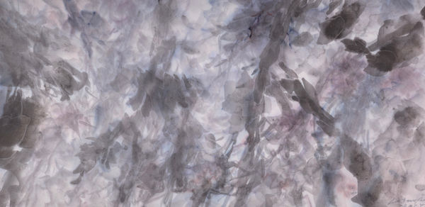 Liu Guofu 劉國夫, Dusk upon the Hush - 4《青苔之上-4》, 2024