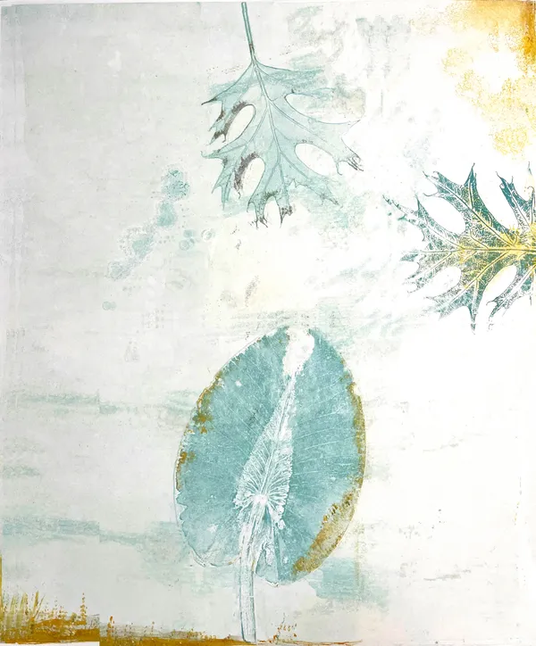 Laurie Dolphin, FLOATING WATER LILIES, 2025