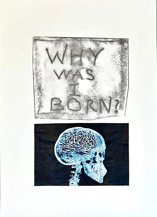 Laurie Dolphin, WHY WAS I BORN?, 2019