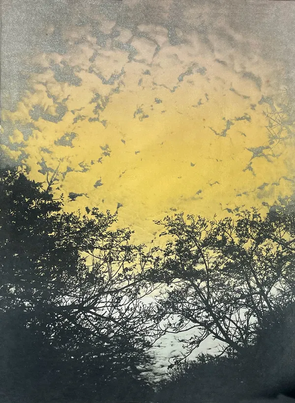 Laurie Dolphin, SUNSET ON THE LAKE, 2023