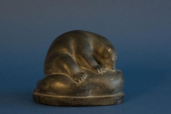 Daniel, Bear & walrus / ours et morse, ca. 1960