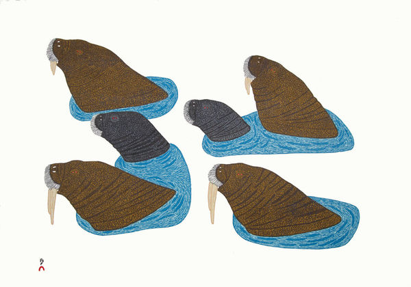 Pauojoungie Saggiak, Uutuit (Walruses On Top Of Ice), 2018