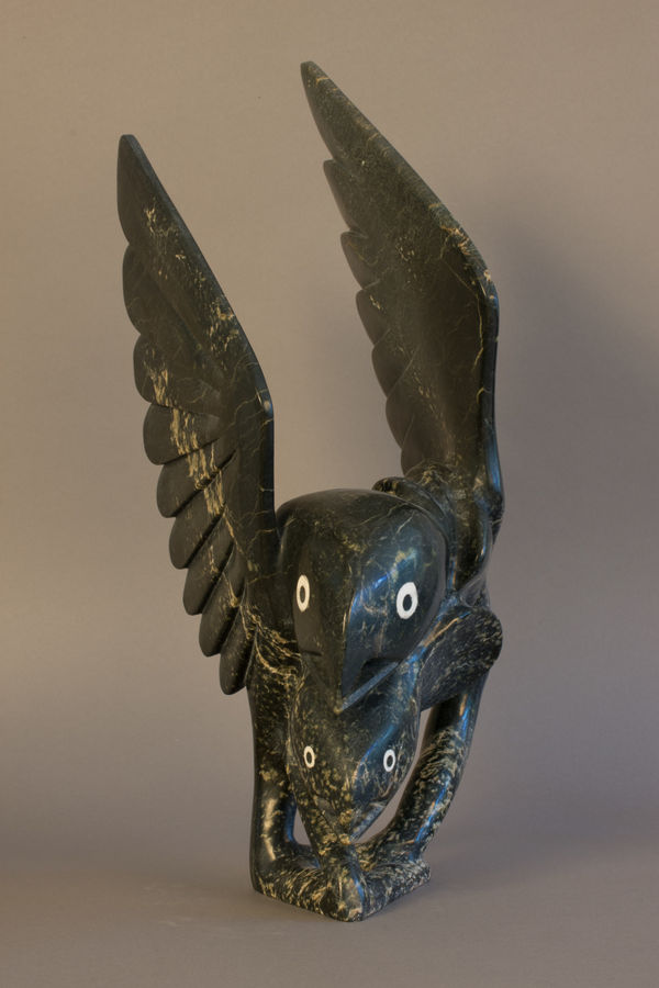 Toonoo Sharky, Bird & Fish / Oiseau & poisson, 2002