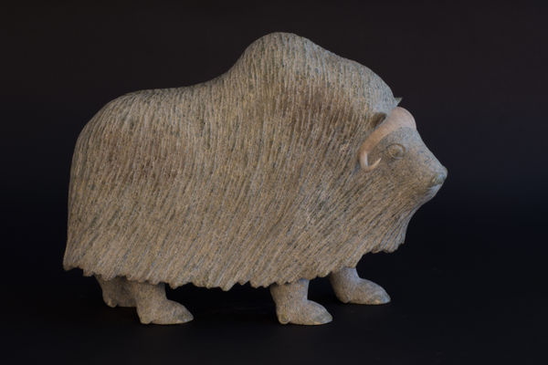 Lucassie Ikkidluak, Muskox / boeuf musqué, 2000