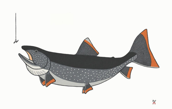 Pauojoungie Saggiak, First Catch, 2020