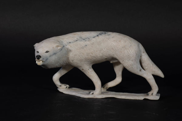 Paul Maliki, Wolf / Loup