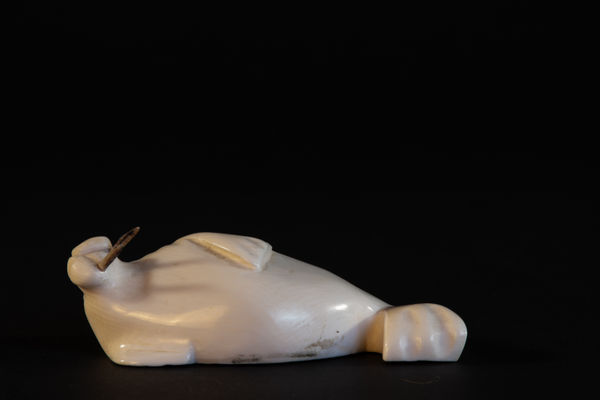 Unidentified / non-identifié, Basking Walrus / morse, ca. 1980