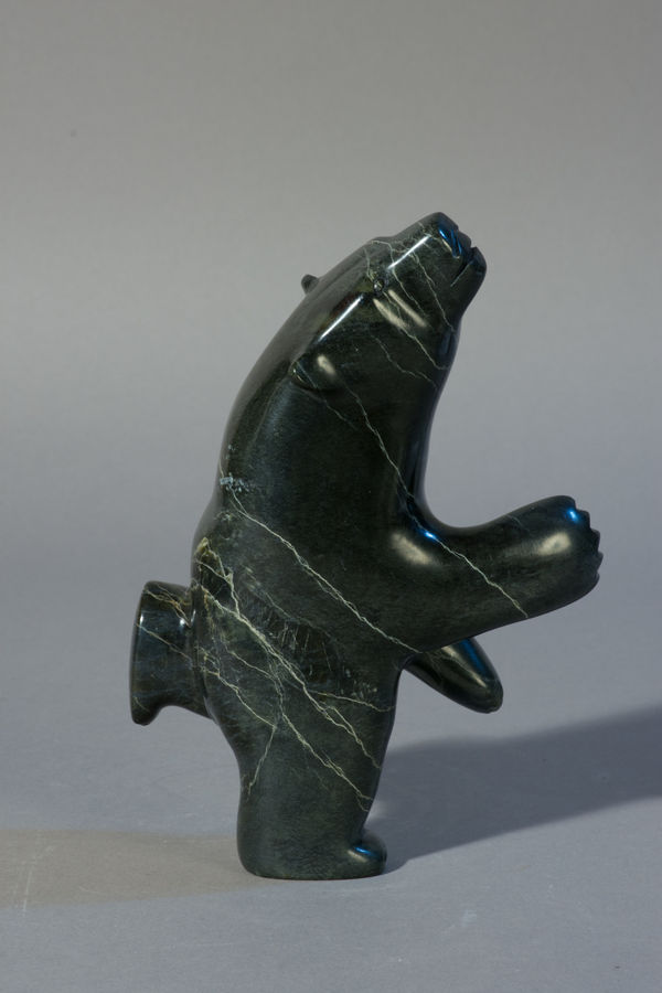 Alashua Sharky, Dancing Bear / ours dansant