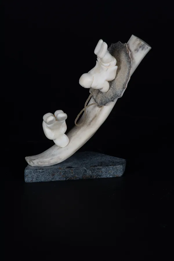 Silas Kayakjuak, Tobogganing, 2008