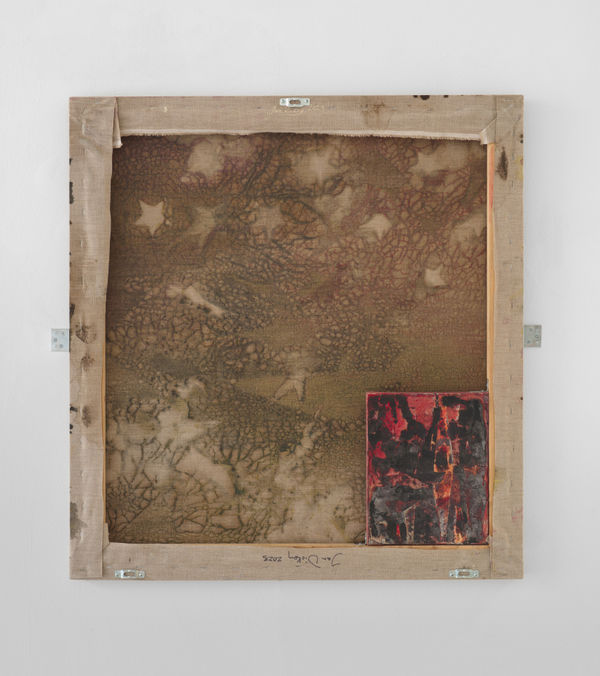 Jan Dickey, Woodpigeon in The Dusty Old Sea, 2023-2024