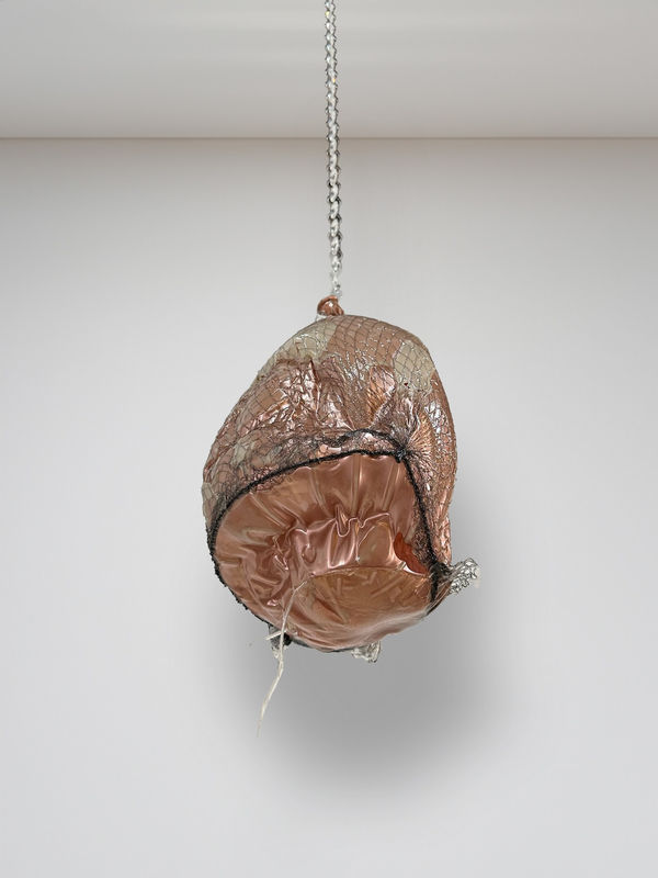Lesley Bodzy Recurrent Ambivalence, 2024 latex, resin, hairnet, chain 10" x 8"