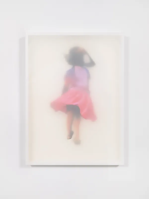 Debra Pearlman Pink Skirt in Motion, 2026 Archival pigment print, polymer film, wood shadow box 36 1/4 x 27 x 2 1/4 inches
