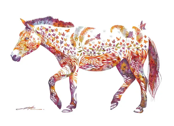 Hiroki Takeda, horse