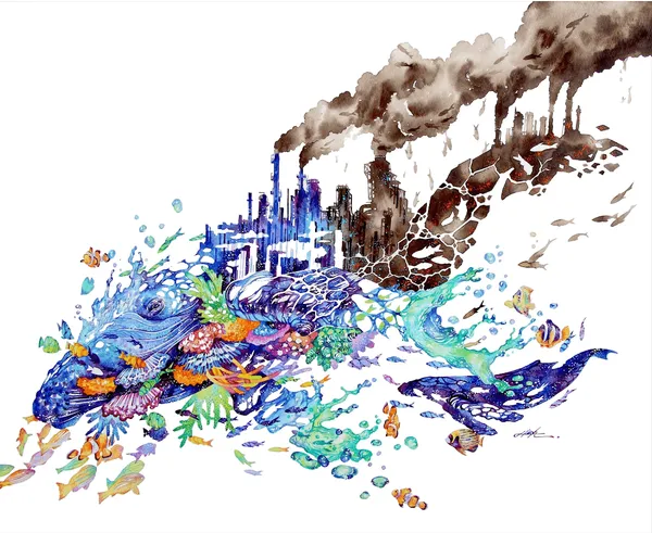 Hiroki Takeda, 流れ