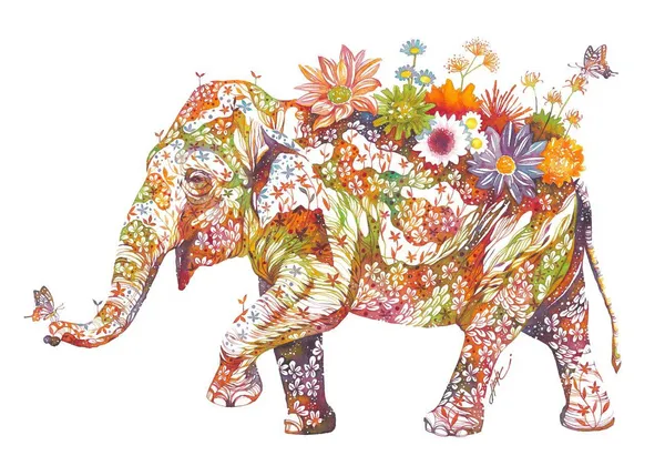 Hiroki Takeda, elephant