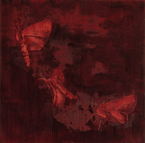 Avish Khebrehzadeh, Uncertainty 9, 2014