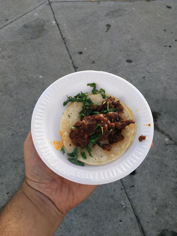 Arash Fayez, One dollar taco, 2016