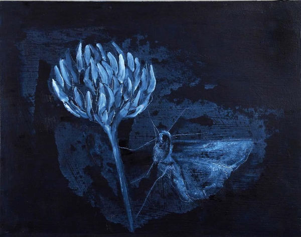 Avish Khebrehzadeh, Moth II, 2014