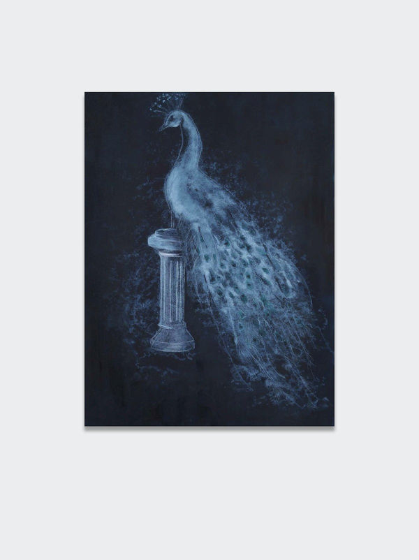 Avish Khebrehzadeh, White Peacock, 2008