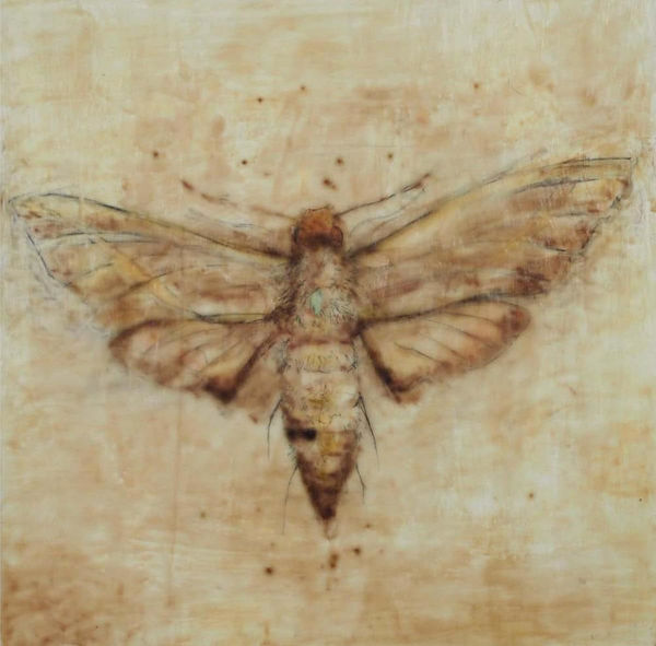 Avish Khebrehzadeh, Uncertainty 3, 2014