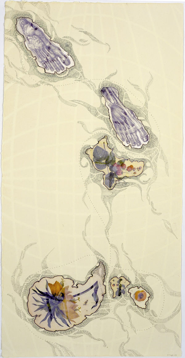 My Personal Atlas, Feet, Amaryllis, and Apricot, 2004