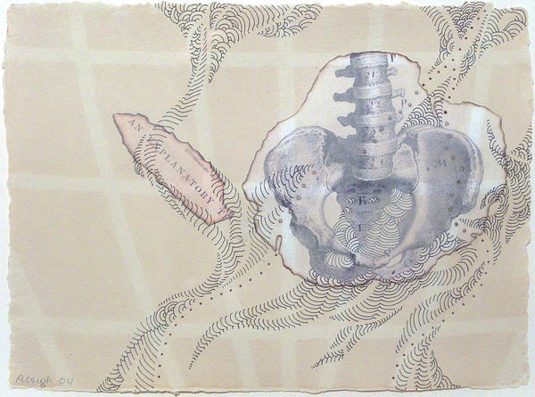 My Personal Atlas, Hip, 2004